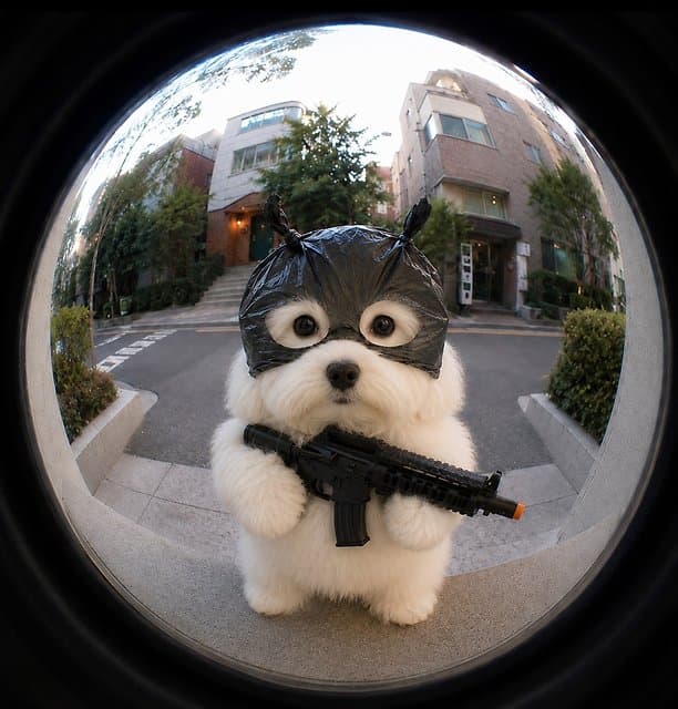 이미지