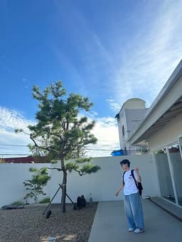 센터 사진