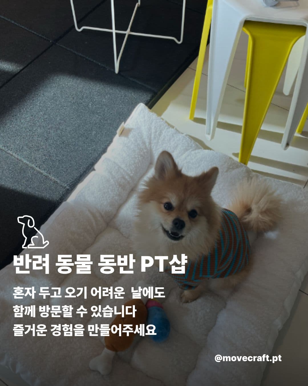 센터 사진