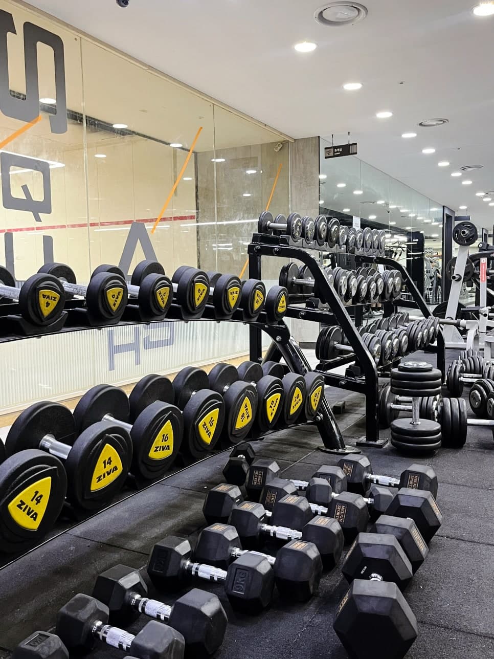 센터 사진