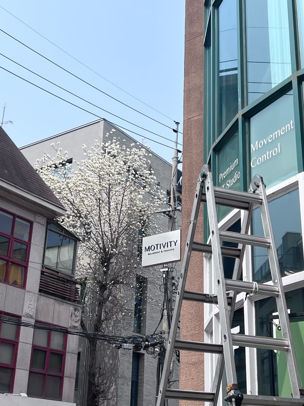 센터 사진