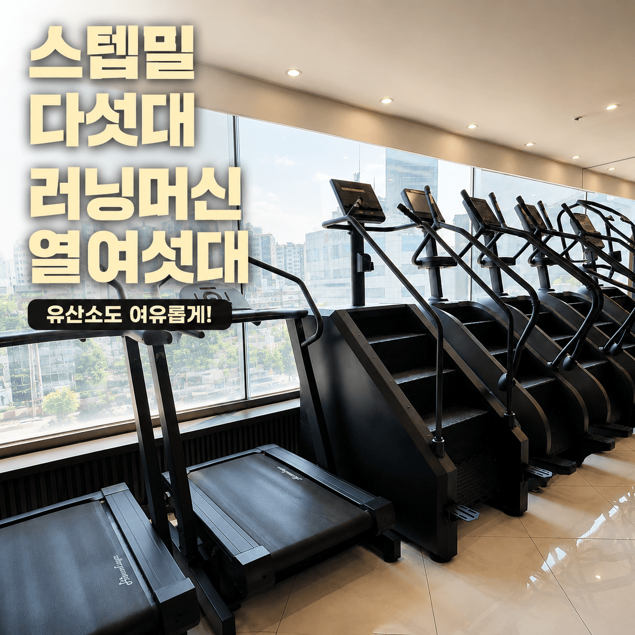 센터 사진