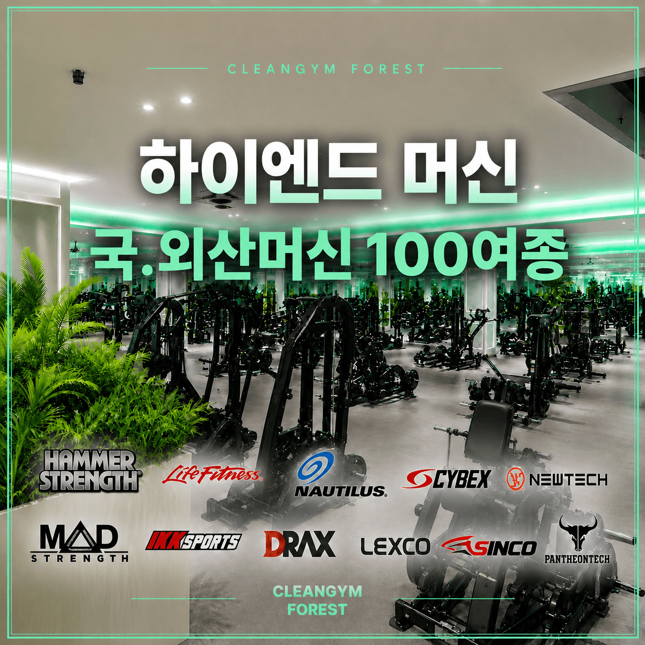 센터 사진