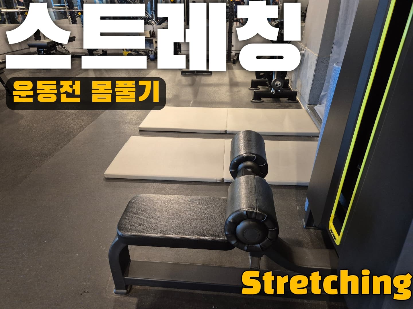 센터 사진