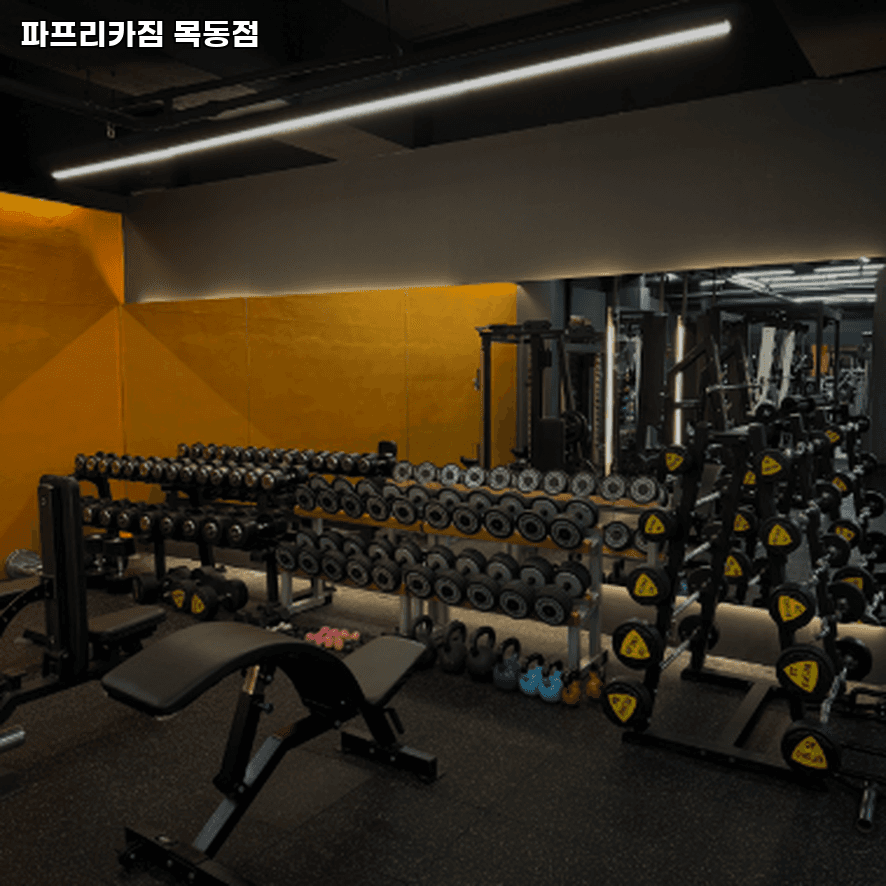 센터 사진