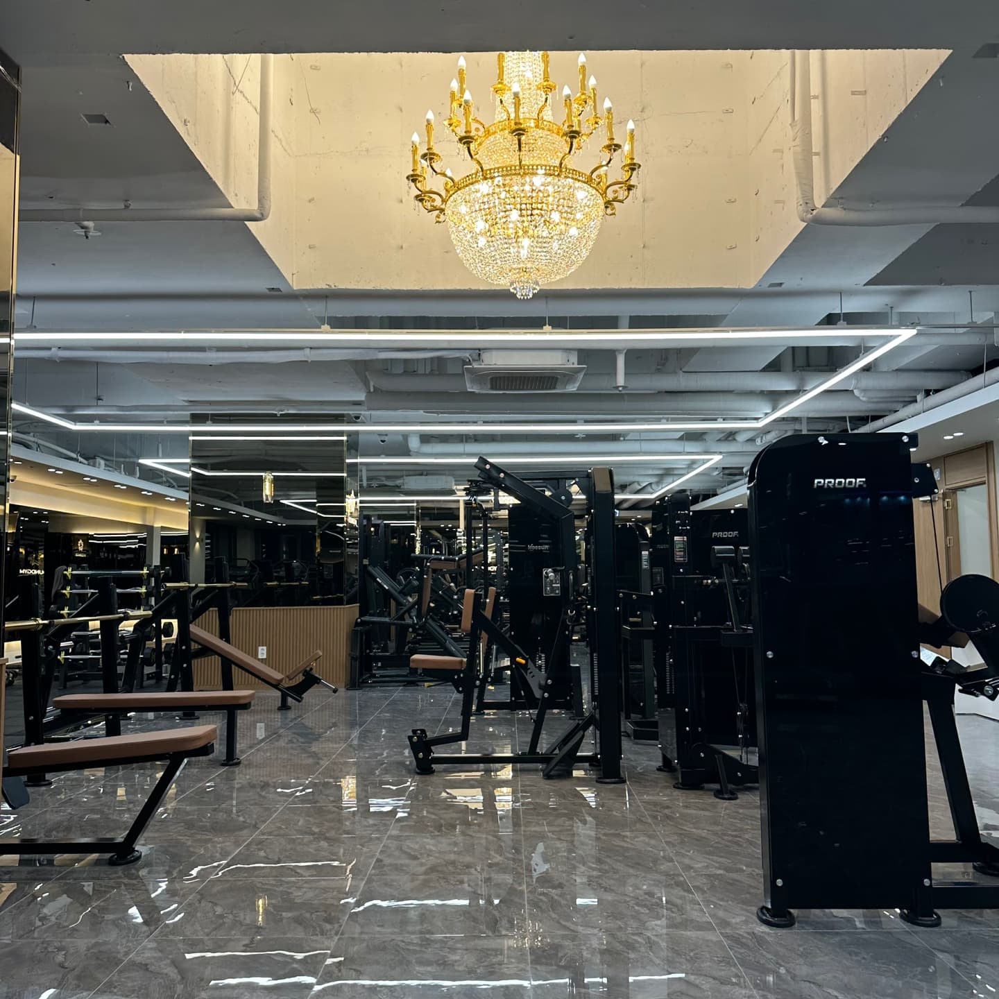 센터 사진