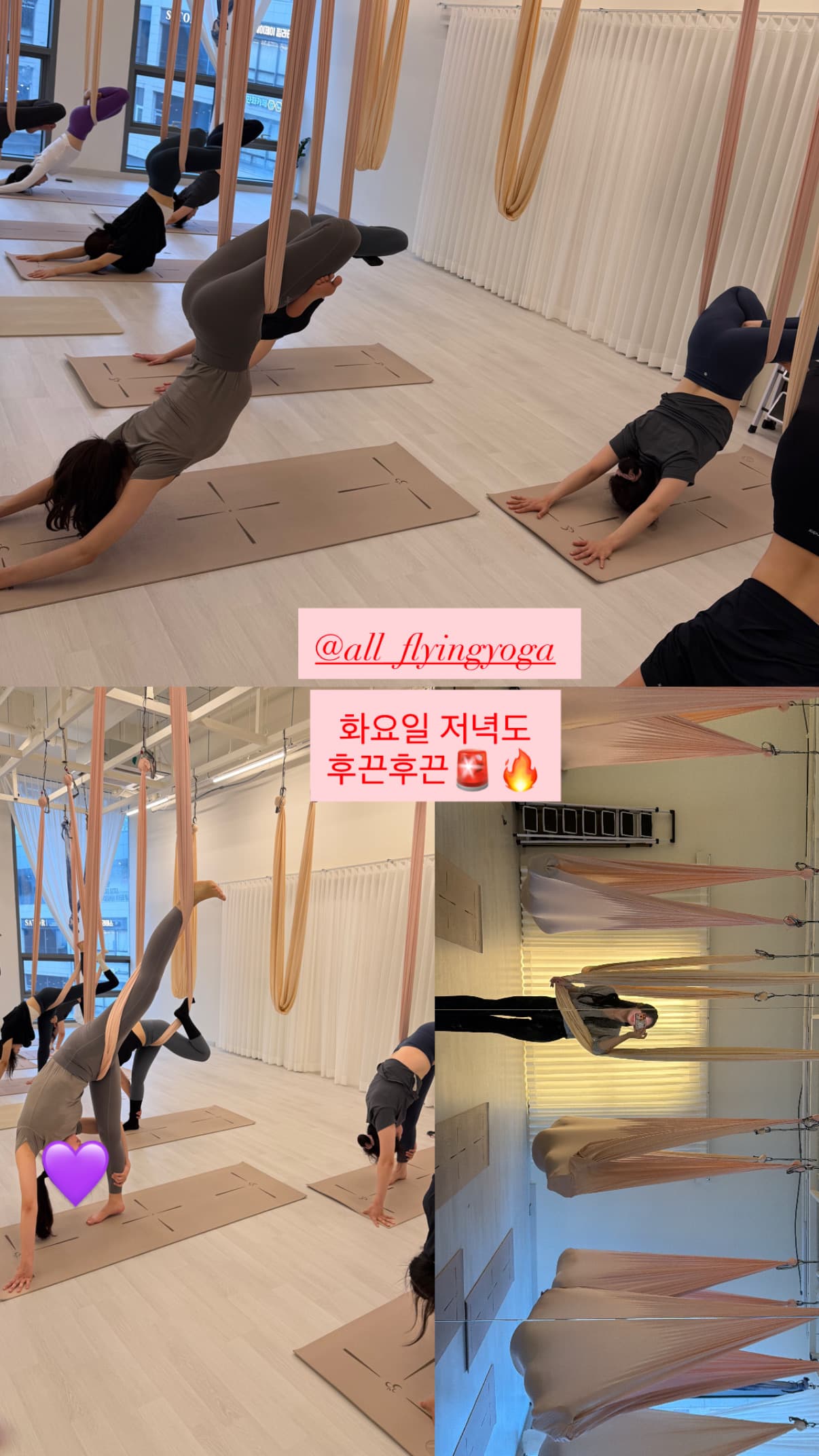 센터 사진