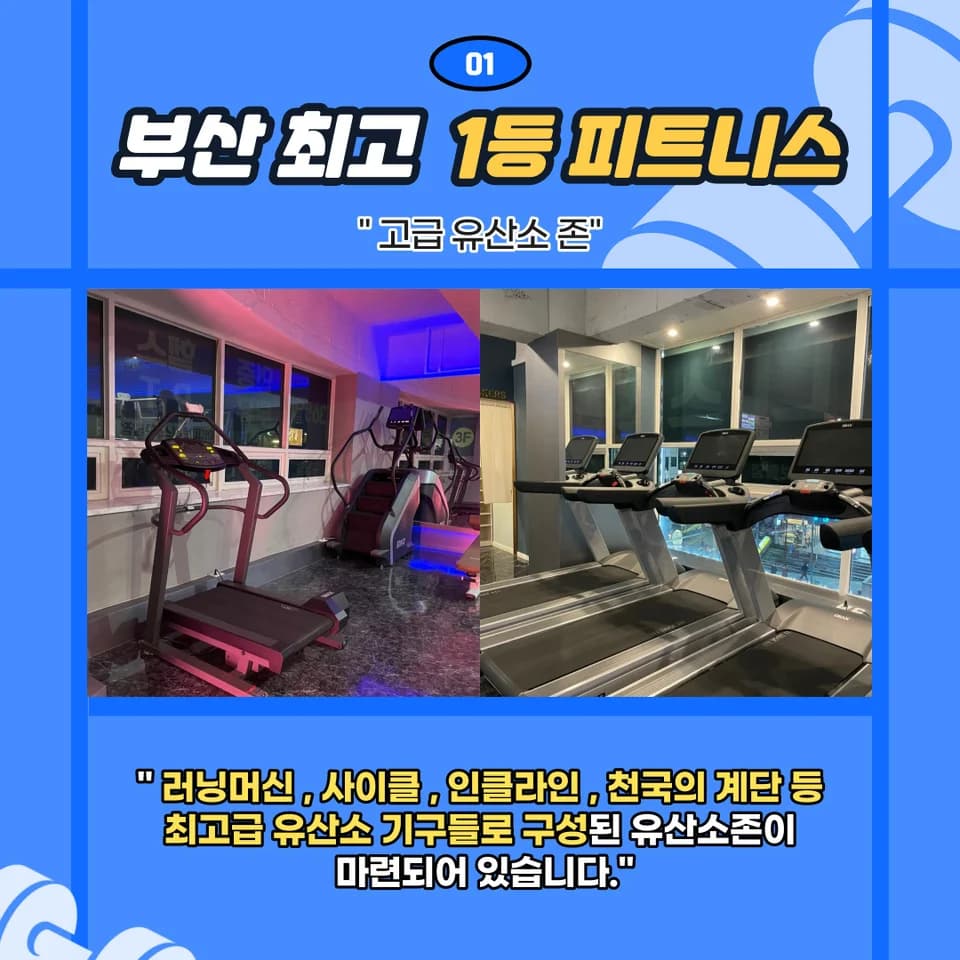 센터 사진